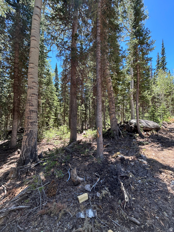 713 S Paintbrush St, Brian Head, UT 84719