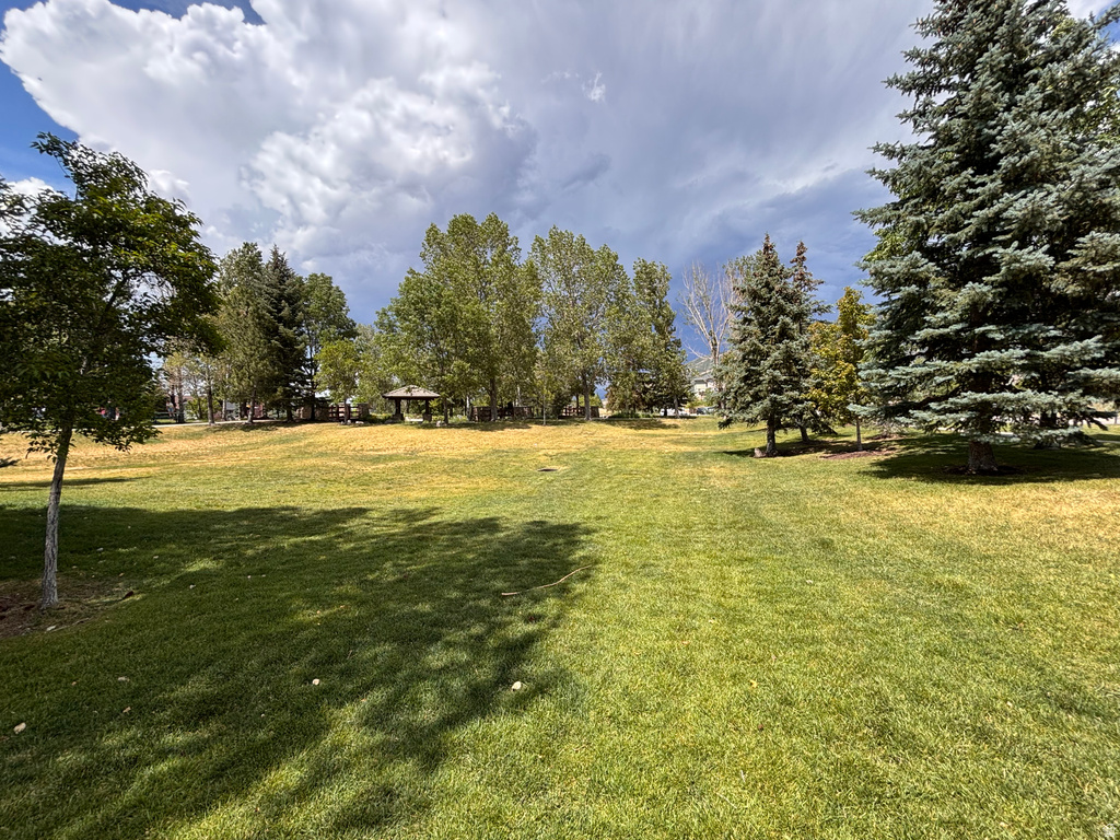 Expansive green lawn surrounded by mature trees, including evergreen and deciduous varieties