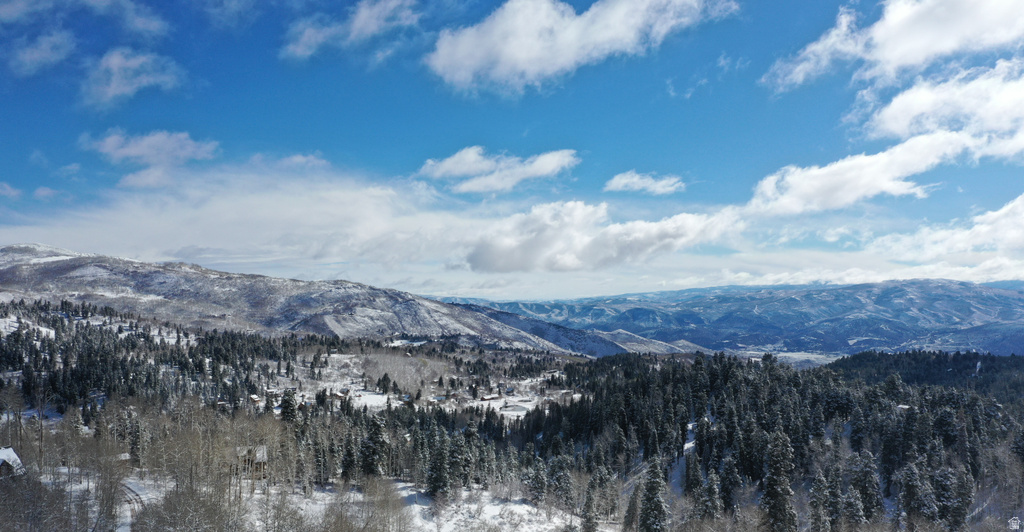 2288 UINTA VIEW DR photo 2