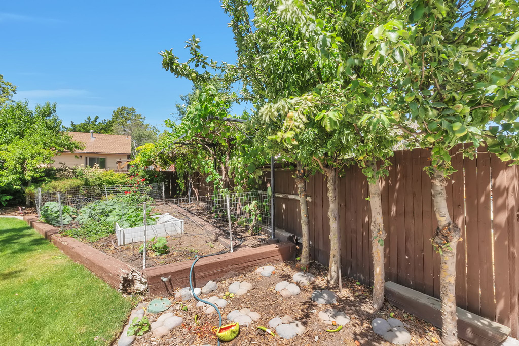 Expansive backyard featuring a lush lawn, a large raised garden bed with visible plantings, and a wood privacy fence