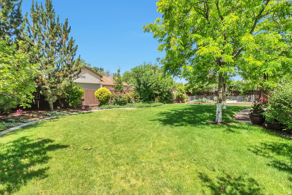 Expansive lawn area with mature trees providing natural shading
