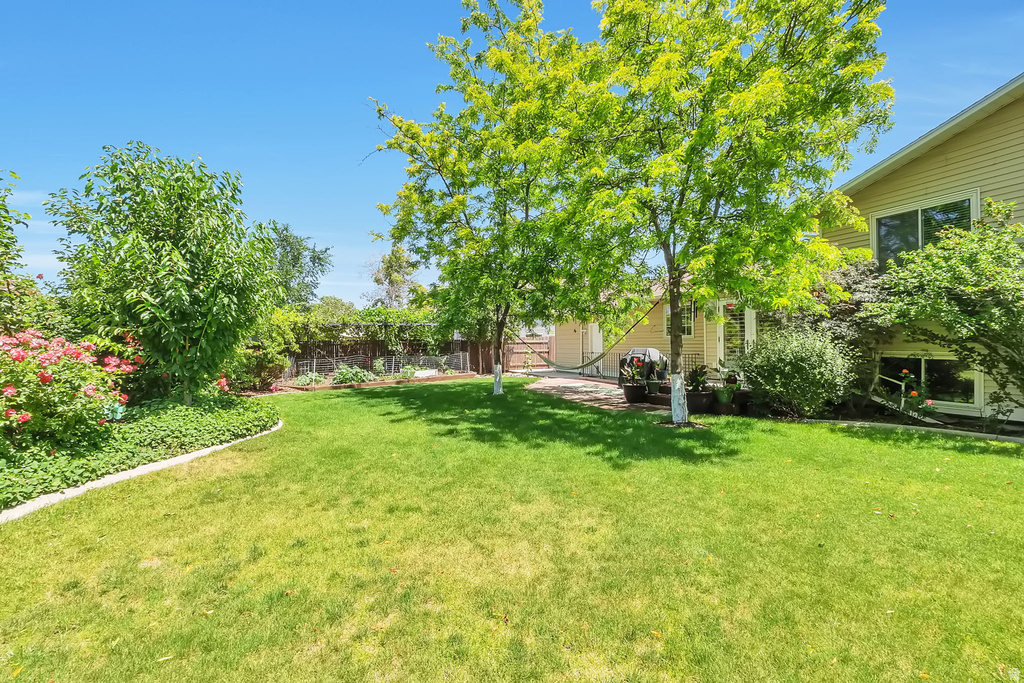 Expansive green lawn with mature trees and established landscaping