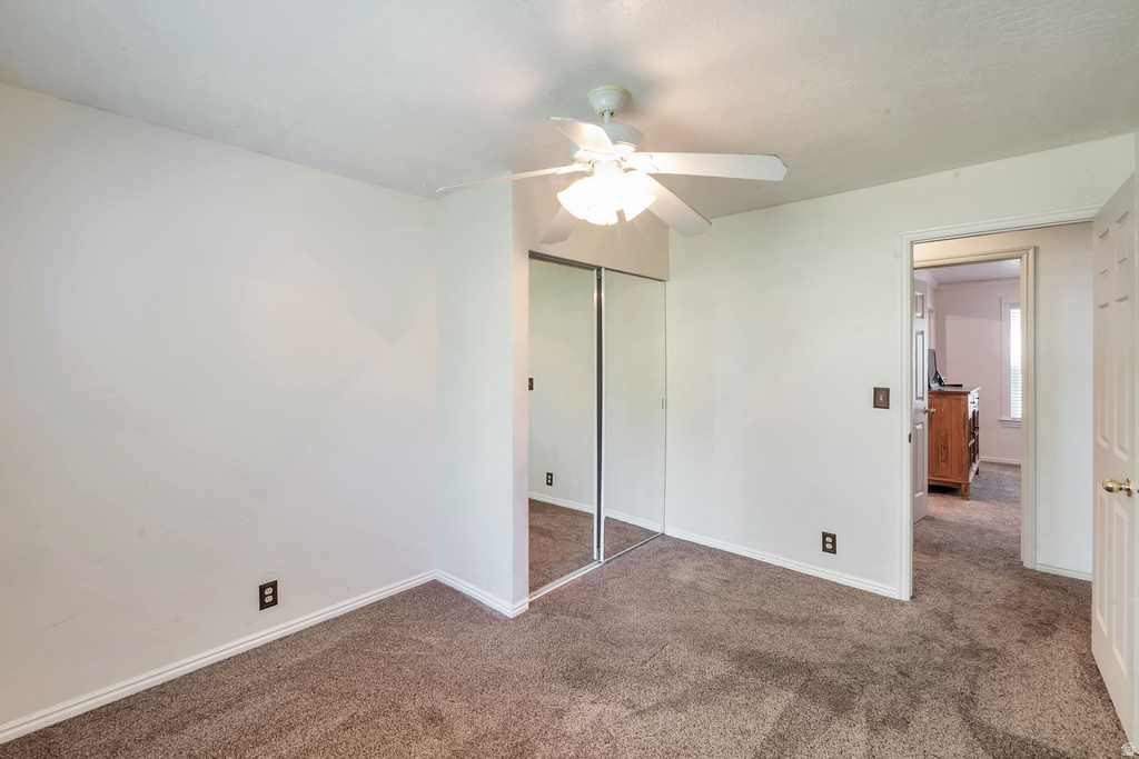 Neutral tone wall finishes