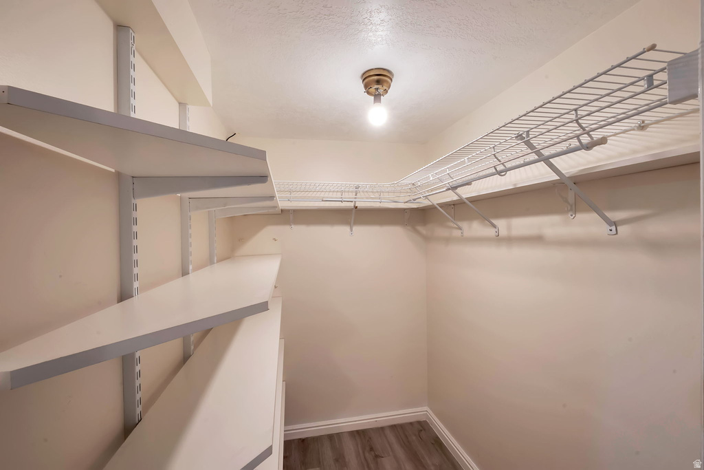 Walk-in closet featuring adjustable shelving, wire shelving, wood-finish flooring, and a ceiling-mounted light fixture