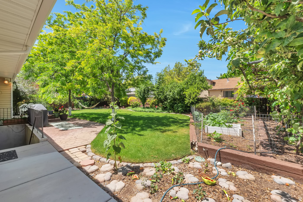 Expansive backyard featuring a lush green lawn, mature trees, and a paver patio