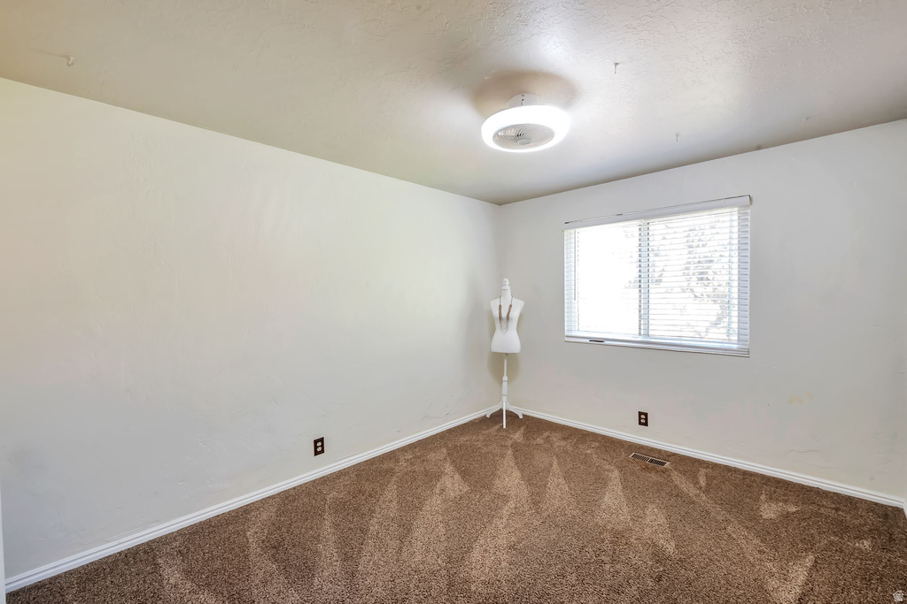 Light-filled room featuring a single window with blinds, a ceiling-mounted light fixture, and textured brown carpet