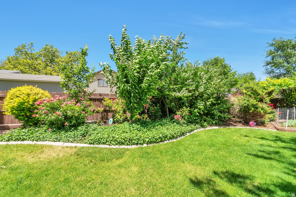 Expansive lawn area with a curved concrete border