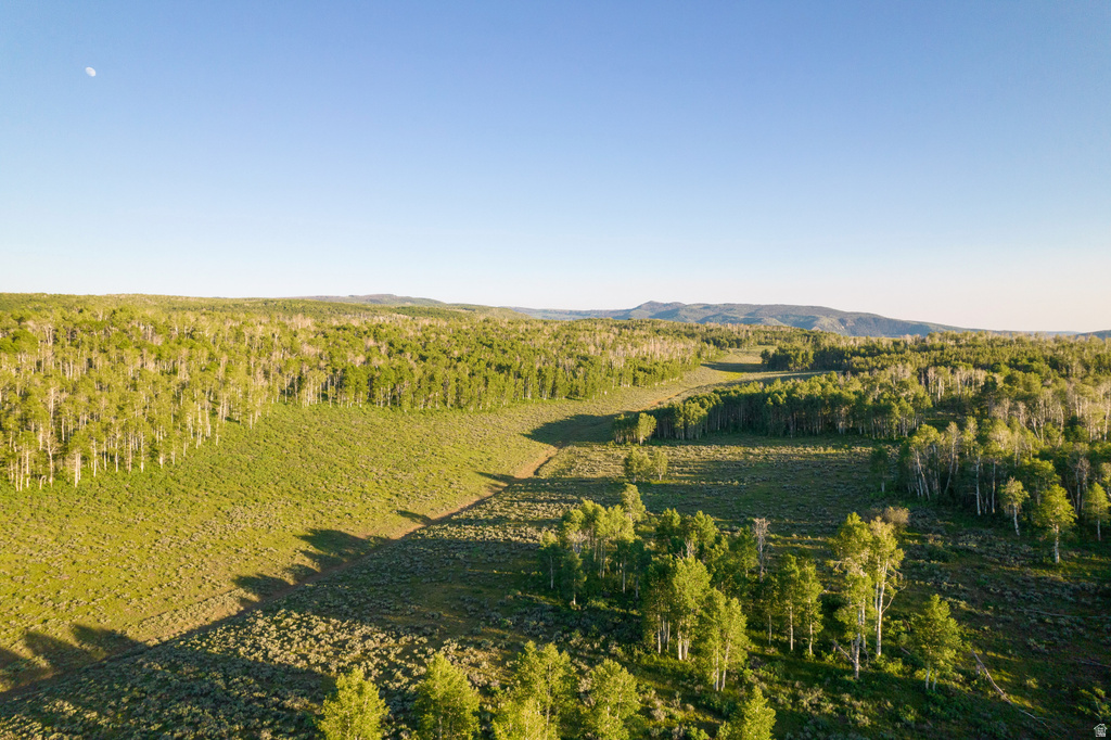 Expansive natural landscape featuring dense forestation, rolling terrain, and distant mountains