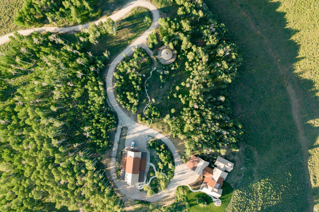 Extensive property featuring a winding driveway, two distinct buildings with red roofs, and mature tree coverage