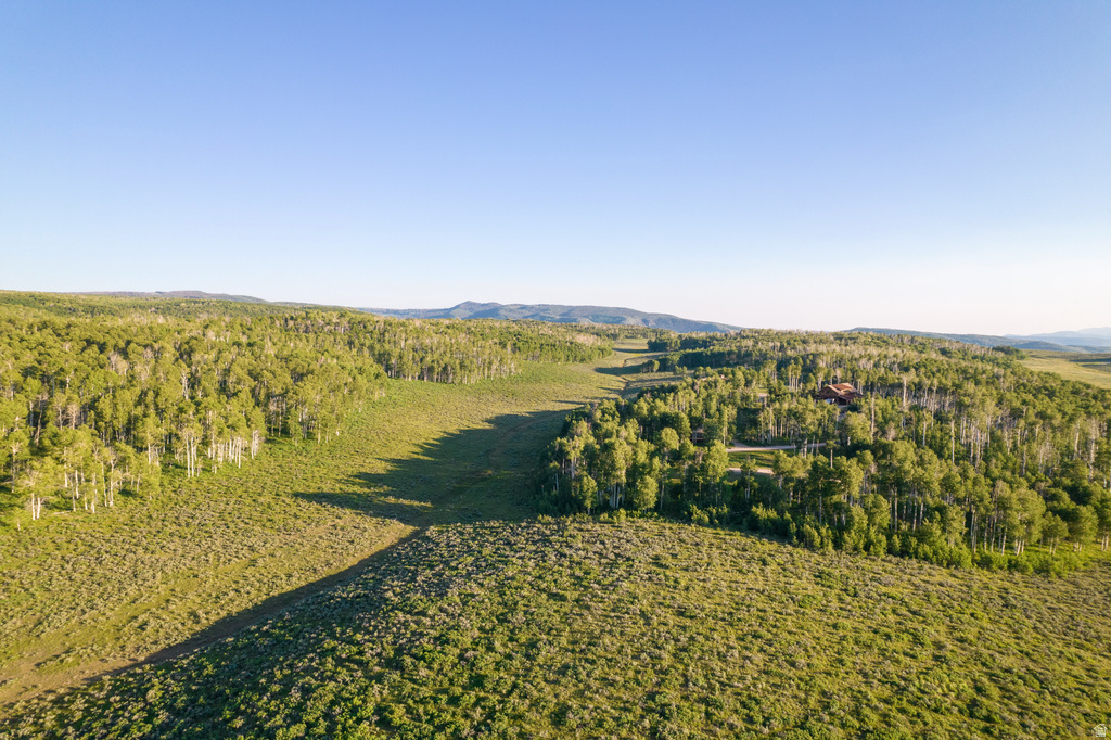 Expansive natural landscape featuring rolling hills and abundant deciduous trees