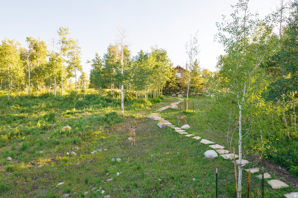 Terraced landscaping featuring a stone walkway, mature aspen trees, and verdant ground cover