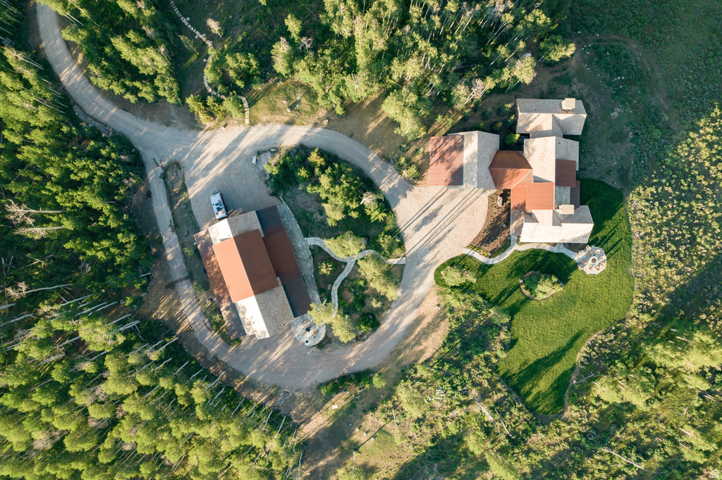 Expansive property featuring two structures with red and gray roofing, surrounded by lush evergreen trees
