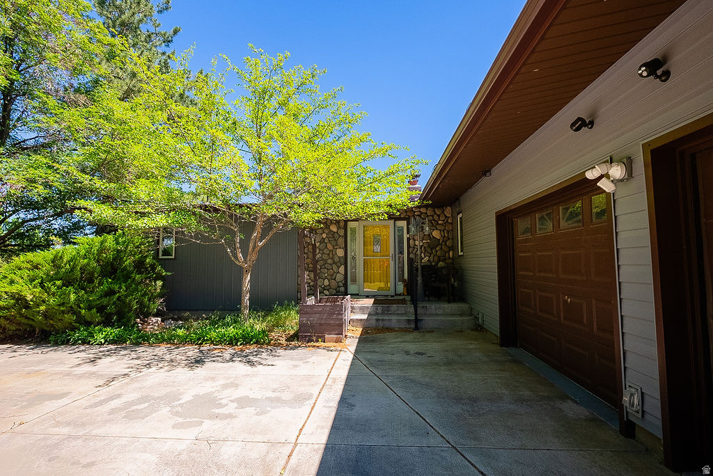 1255 CHOKECHERRY DR photo 5