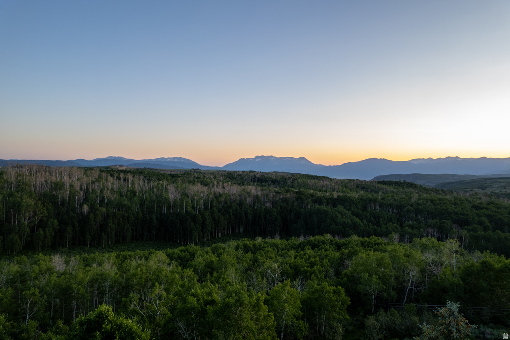 Expansive forested landscape with distant mountain ranges under a clear sky