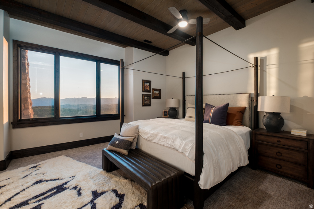 Expansive multi-pane window with dark trim