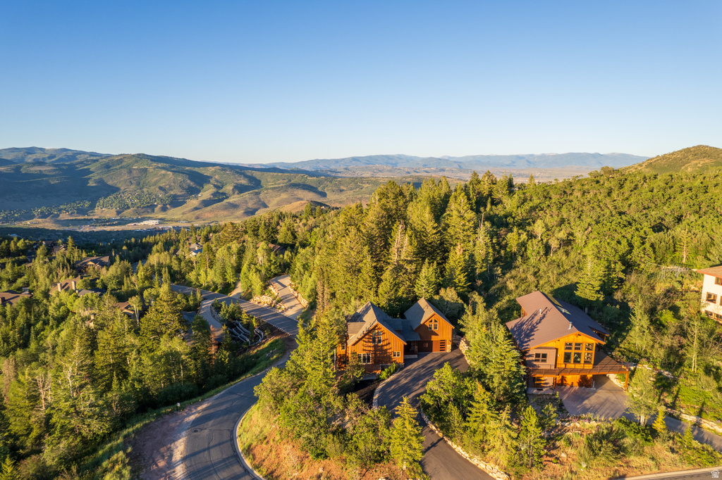 Mountain landscape featuring a winding paved road, several properties with wood siding, and abundant mature evergreen trees