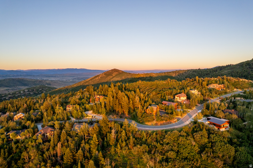 Hillside community featuring a paved winding road and abundant mature trees