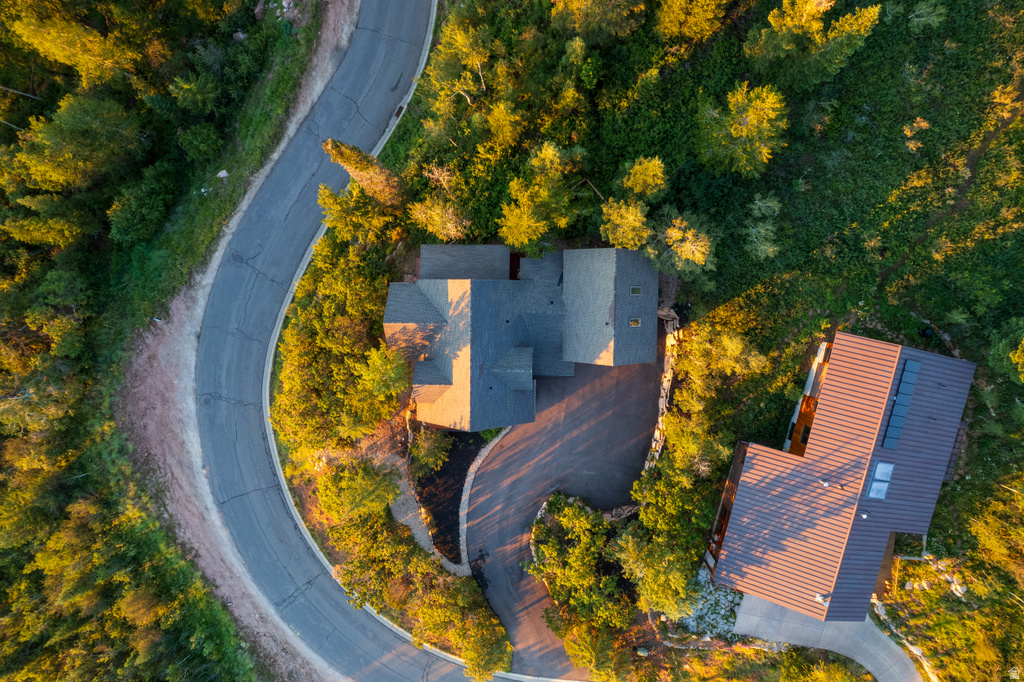 Aerial perspective highlighting a multi-level residence with a dark shingle roof, surrounded by mature trees