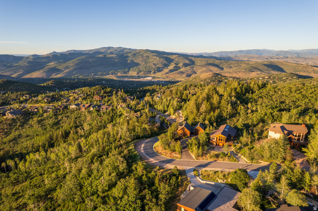 Mountainous terrain featuring a winding road and numerous residences nestled among dense forestry