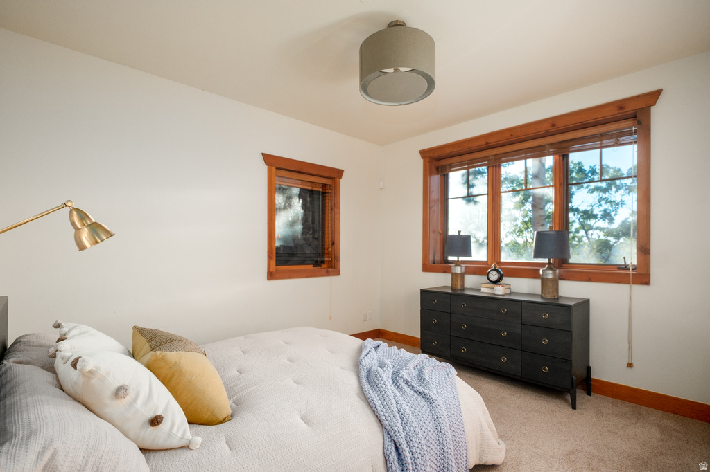 Carpeted room featuring a large window with wood trim, an additional smaller window with wood trim, and a ceiling-mounted light fixture