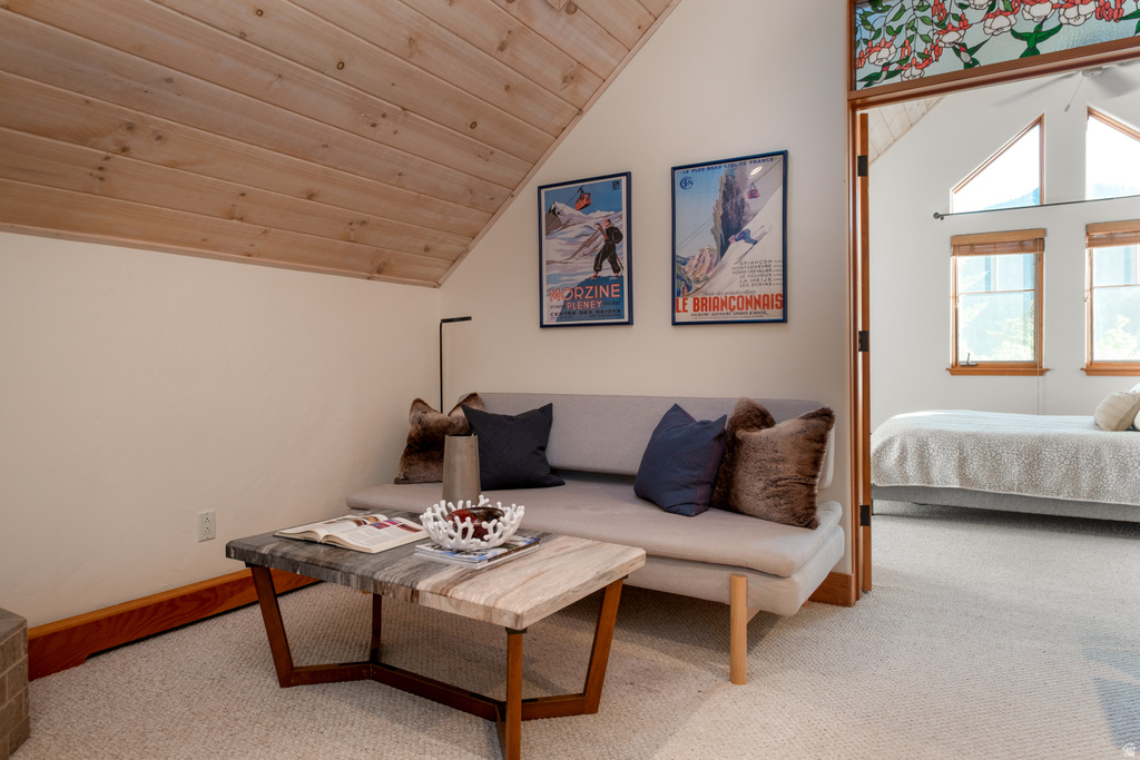 Sloped wood-paneled ceiling accenting a carpeted room