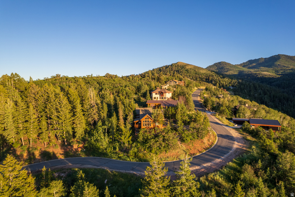 Mountainous terrain featuring a winding paved road and multiple residences surrounded by dense woodland