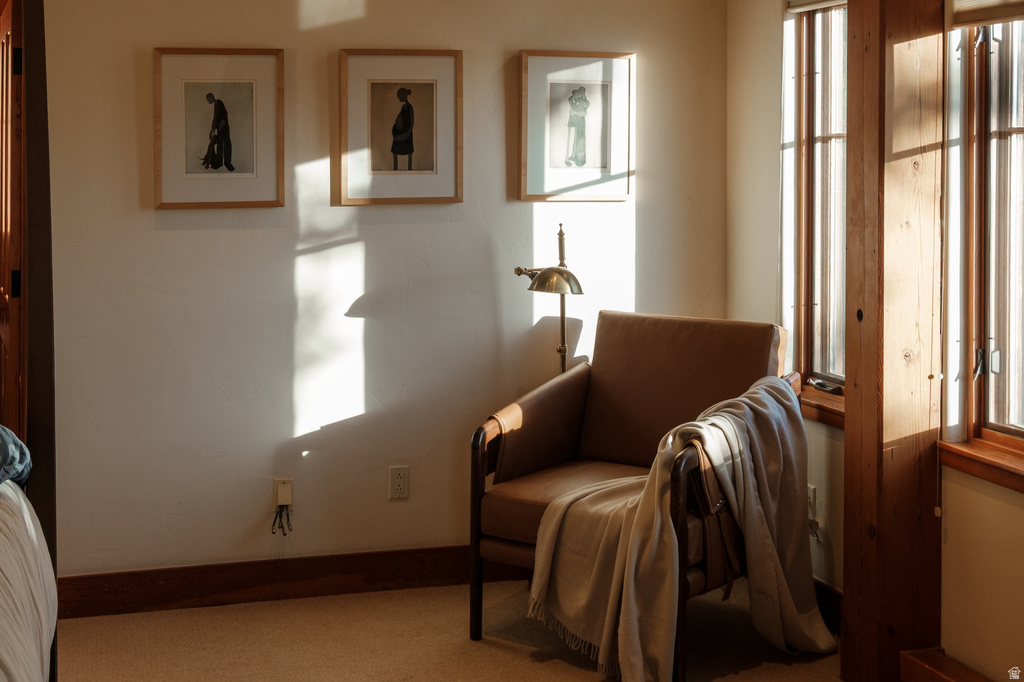 Room featuring light-toned carpeting, white wall finishes, and a dark wood baseboard