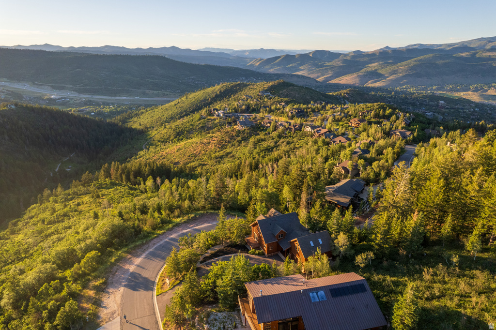 Mountainous landscape featuring multiple homes nestled among lush green trees, a winding paved road, and distant mountain ranges under a clear sky