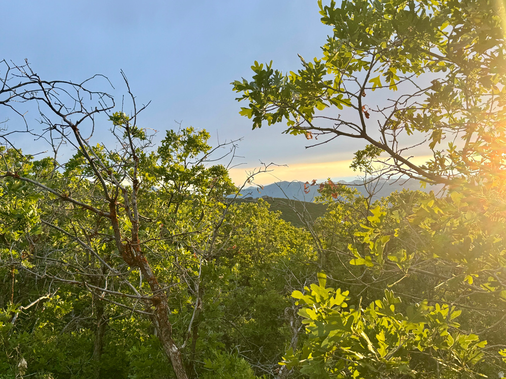 View photos for 1556 S Tree Top Ln 1556 S Tree Top Ln