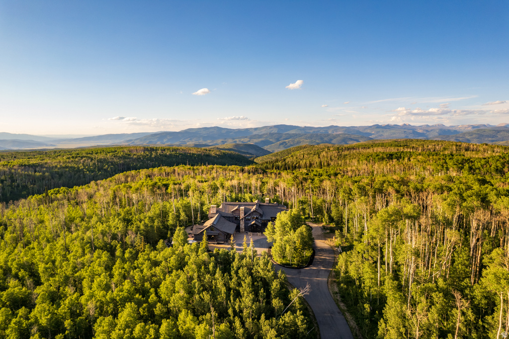 Custom home situated within a dense forest of mature trees, featuring a dark exterior facade and multiple rooflines