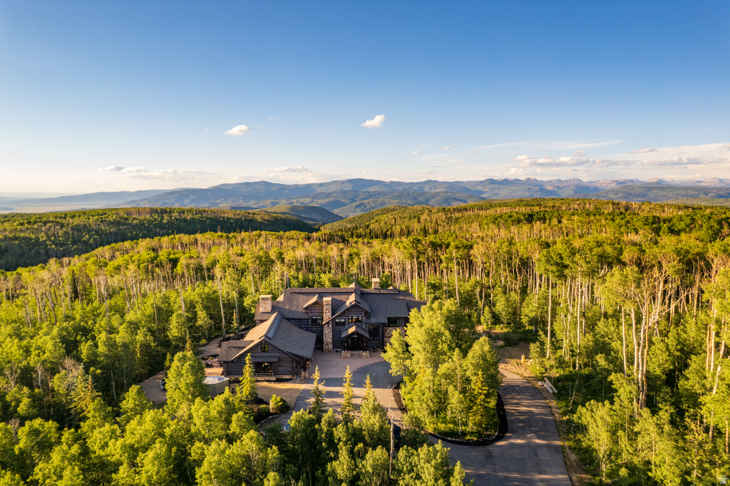 Expansive mountain property featuring a large residence with a dark exterior, multiple gables, and prominent stone chimneys