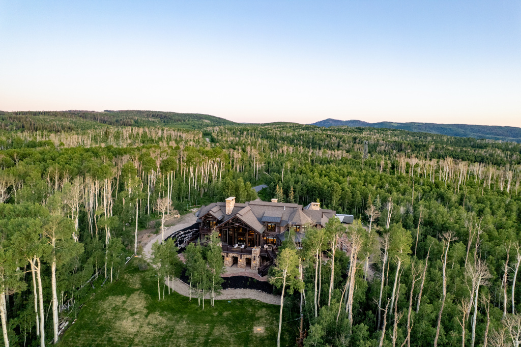 Sprawling woodland estate featuring a dark-toned multi-level residence with stone and wood siding, a stone chimney, and a multi-peaked roofline