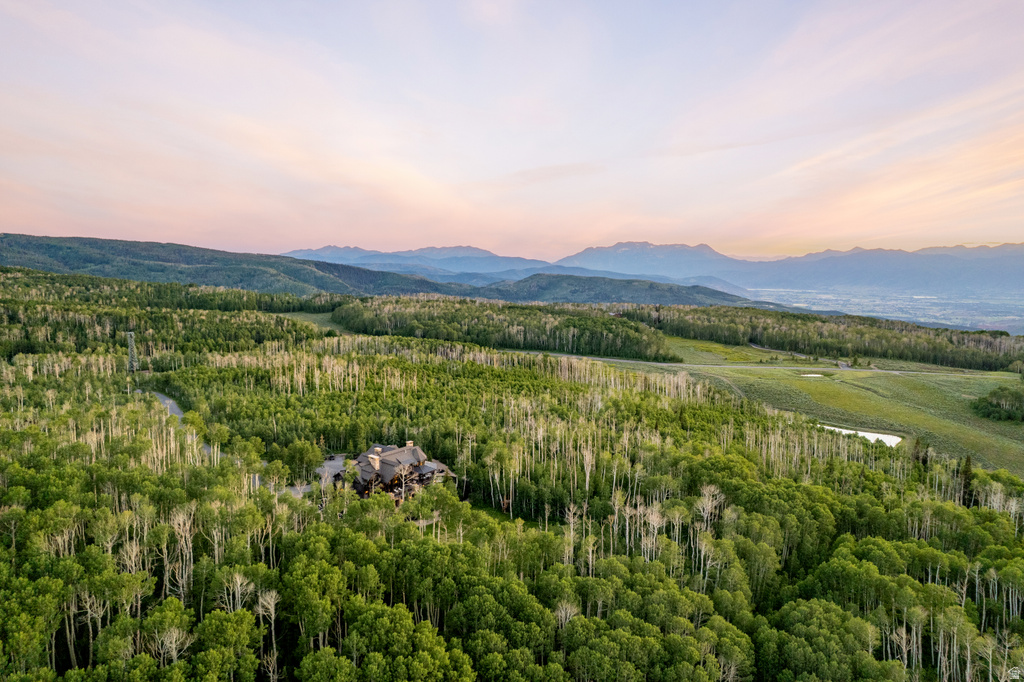 Expansive mountain estate surrounded by dense forest