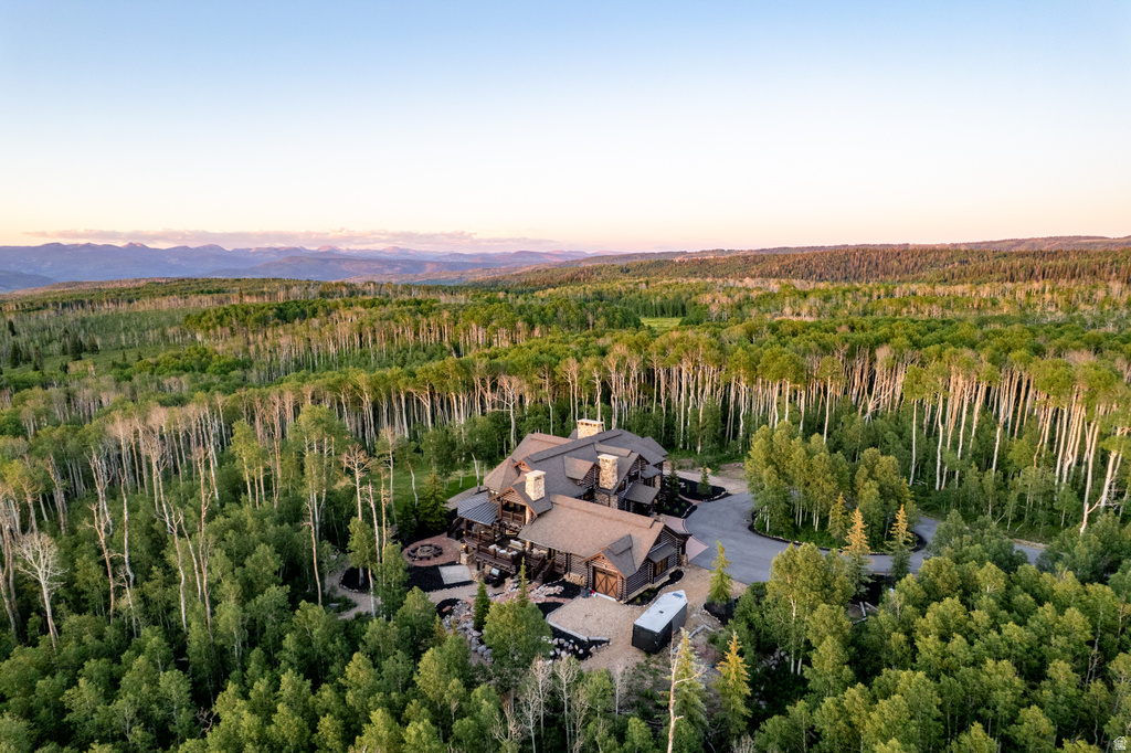 Expansive estate surrounded by dense forest, featuring a multi-level structure with stone and timber cladding, multiple chimneys, and a large paved driveway