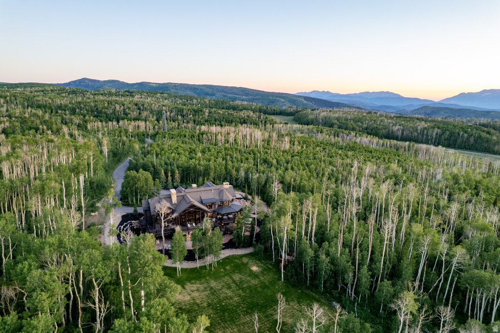 Expansive forested acreage featuring a large log and stone residence, a winding drive, and distant mountain ranges