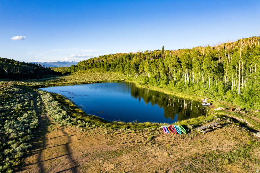 Expansive private pond surrounded by mature deciduous and evergreen trees