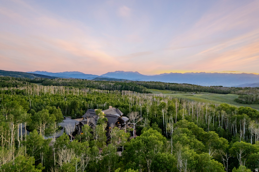 Expansive woodland property featuring a dark-toned residential structure with multiple gables