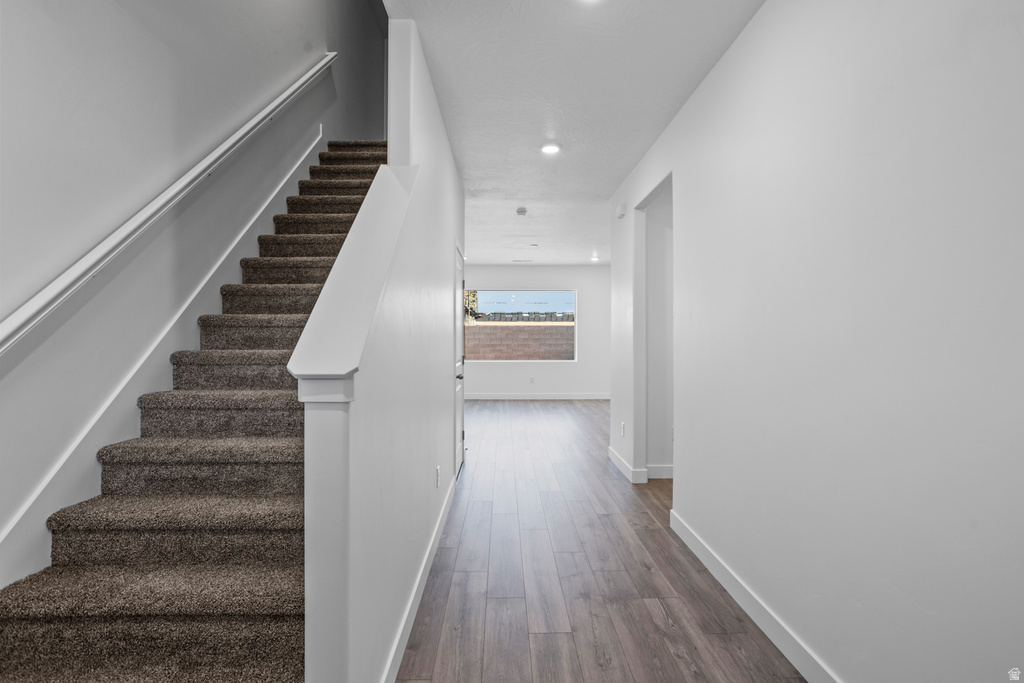 1902 S QUEENS GARDEN DR photo 5