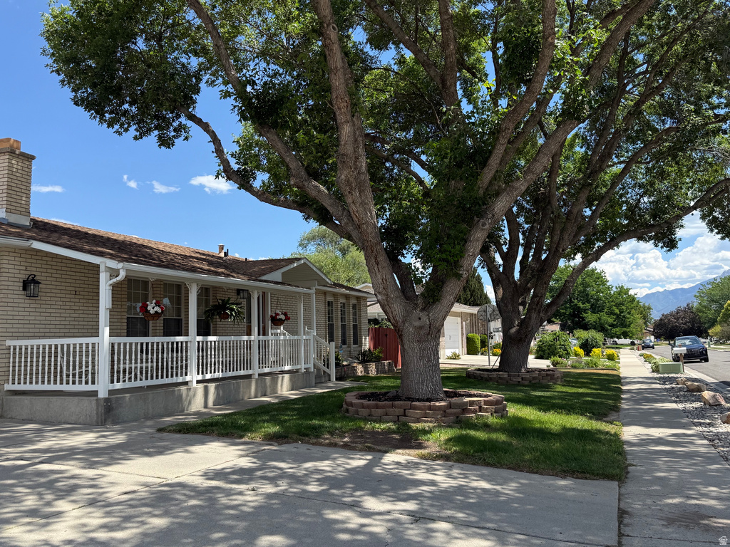 2492 W TIERRA ROSE S DR photo 4