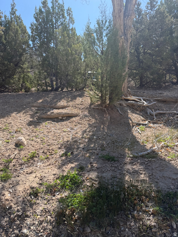 Salina, UT 84654