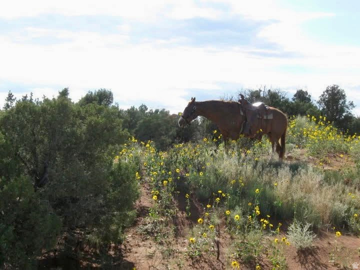 5929 W 350 S, Roosevelt, UT 84066