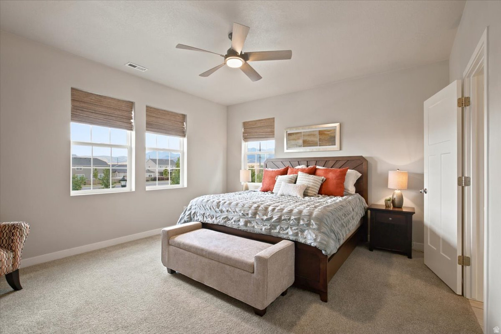 6352 W Moring Point Way — photo 37