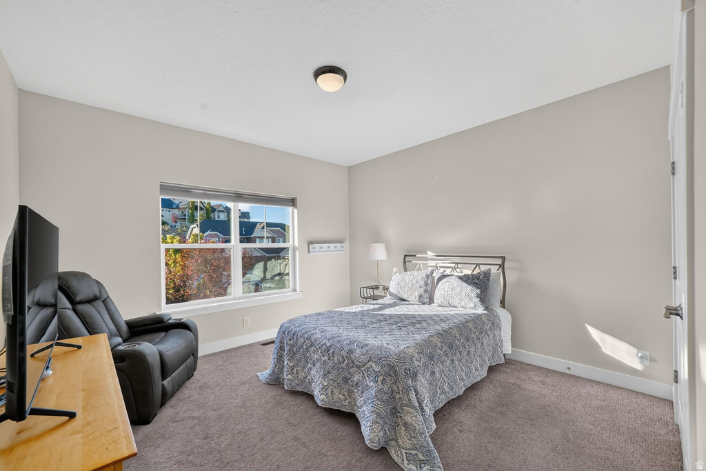 Carpeted room featuring a large window, neutral wall tones, a ceiling-mounted light fixture, and white trim