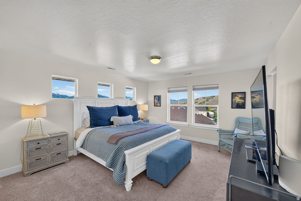Spacious bedroom with neutral-toned carpeting, white baseboards, and multiple windows providing natural light