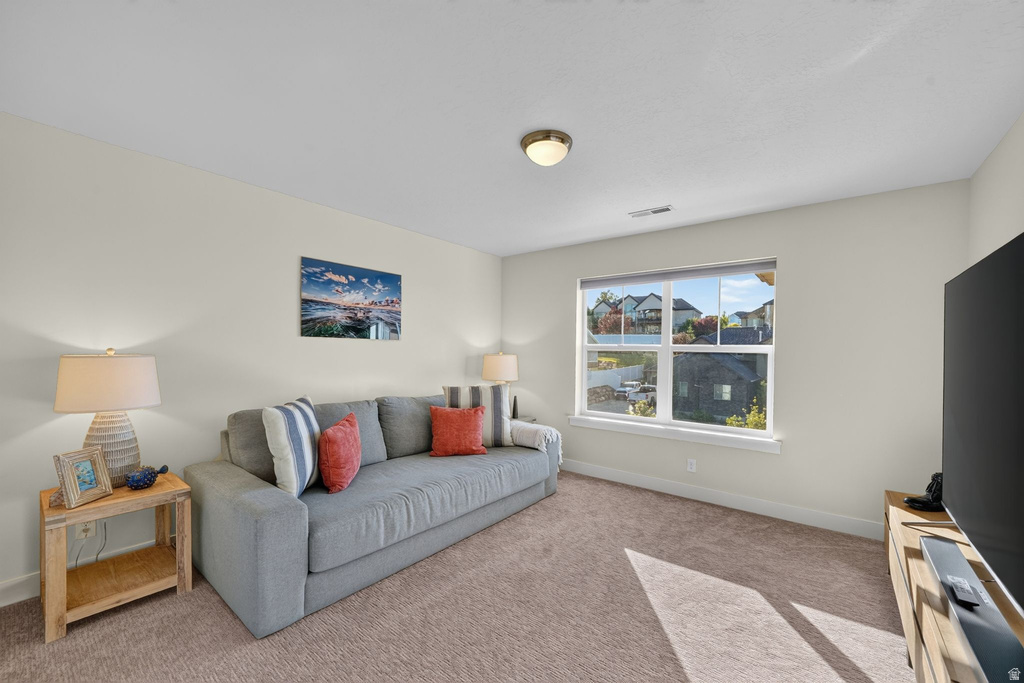 Carpeted living space featuring a large window, light-colored walls, a ceiling-mounted light fixture, and white baseboards