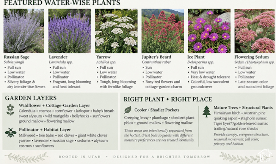 Informational Brochure. Displaying water-efficient plants, garden layers, and planting recommendations for the property