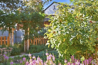 Landscaped outdoor space featuring a wooden arbor, mature plantings, vibrant ground cover, and a partial picket fence