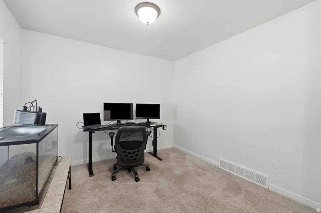 4196 E DRYLAND S WAY photo 5