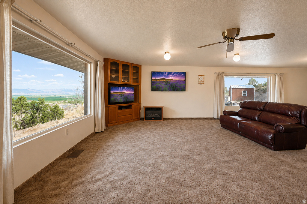 1125 S SHEEP LN photo 5