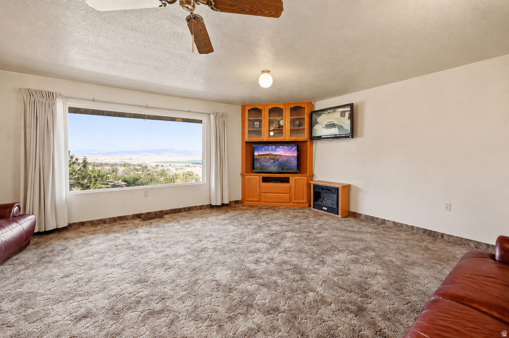 1125 S SHEEP LN photo 4